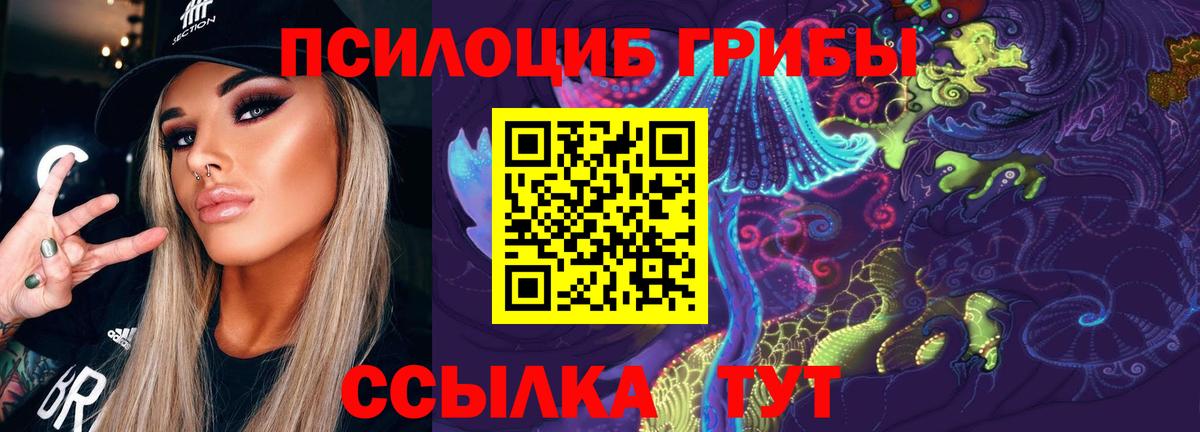 Галлюциногенные грибы Psilocybine cubensis  Вход с VPN  Псилоцибиновые грибы Psilocybe  Великие Луки 