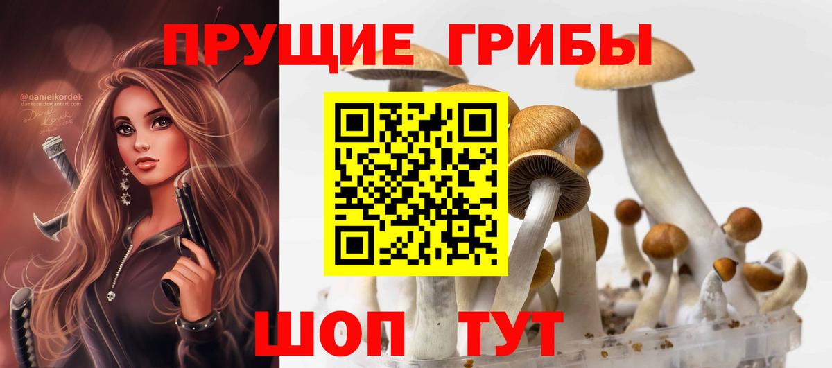 Псилоцибиновые грибы мухоморы Великие Луки